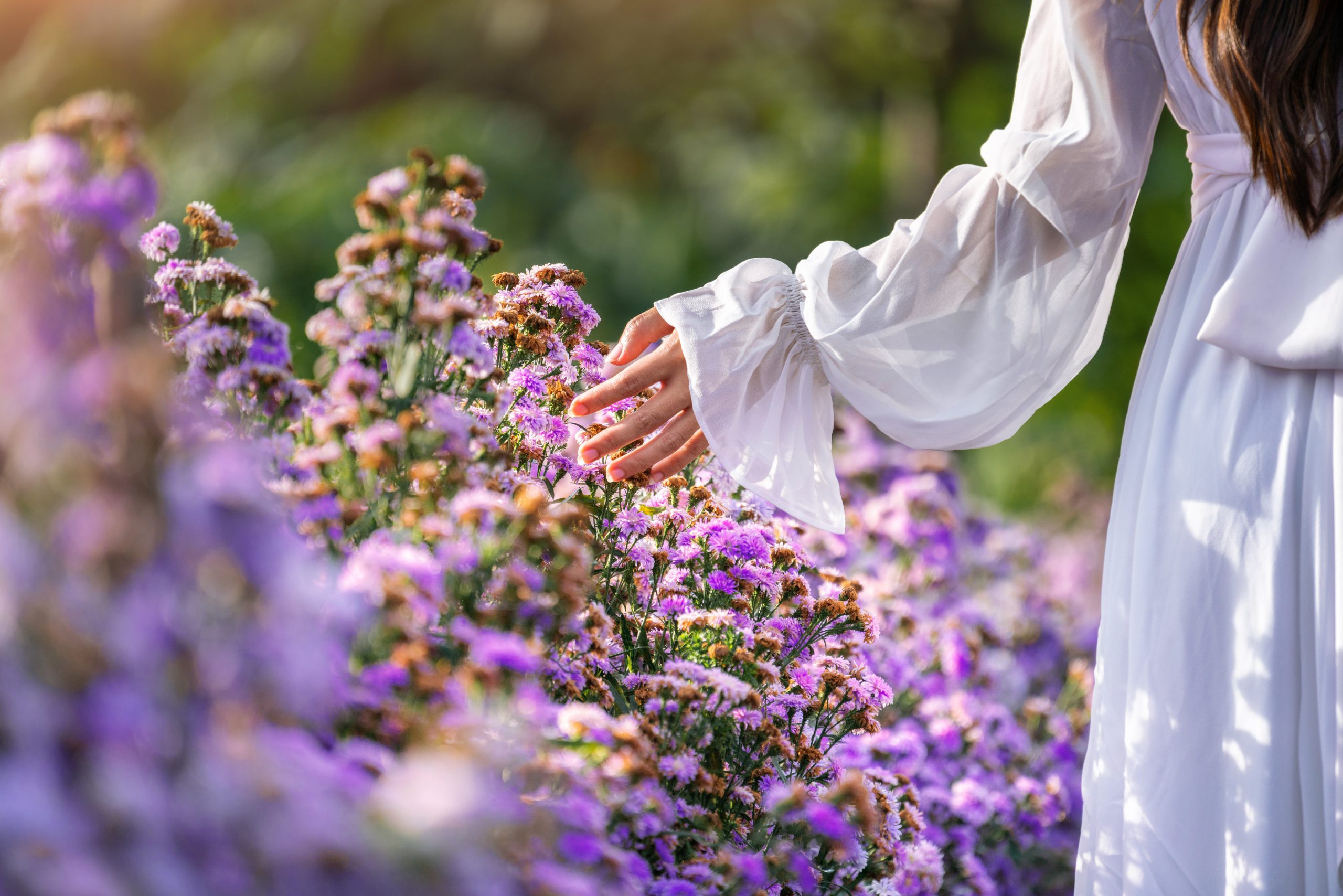 La Consciencia trae riqueza espiritual y material con gozo y facilidad